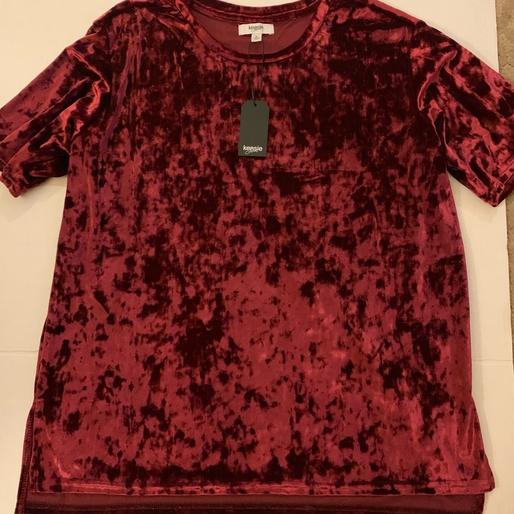✨MOVING SALE✨ Velvet Top